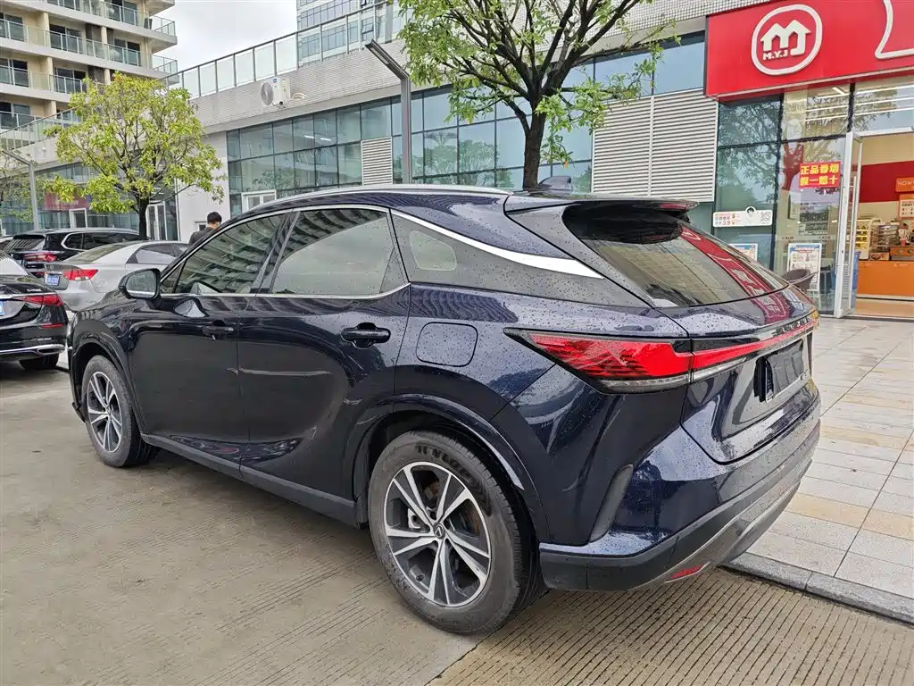 Lexus RX — миниатюра 4