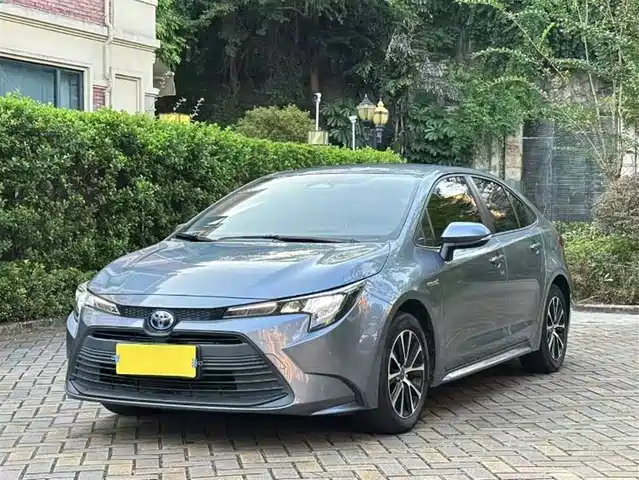 TOYOTA LEI LING 2023