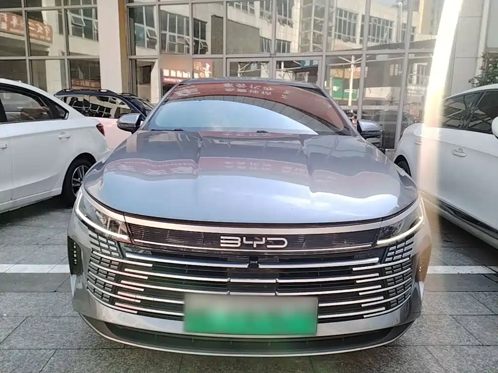 BYD Destroyer 05 2024 DM-i 55KM Luxury