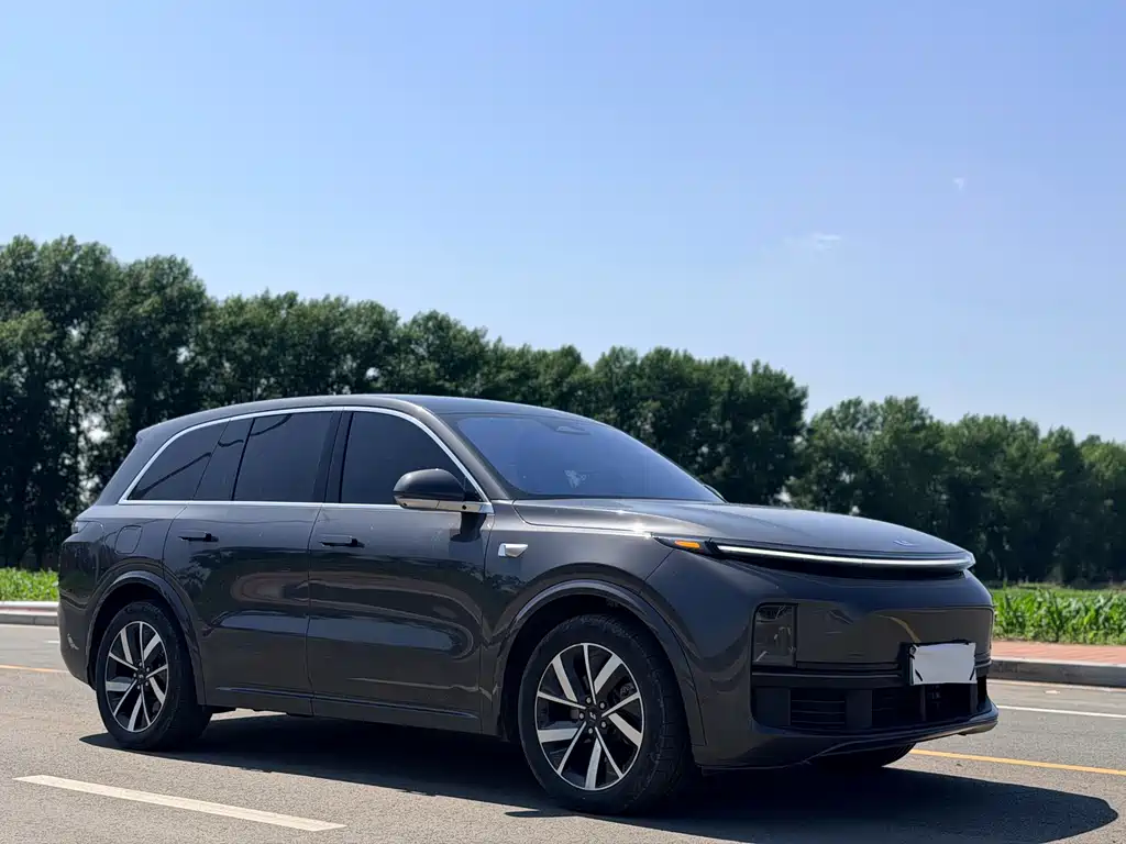 Li Auto Li L8 — миниатюра 3