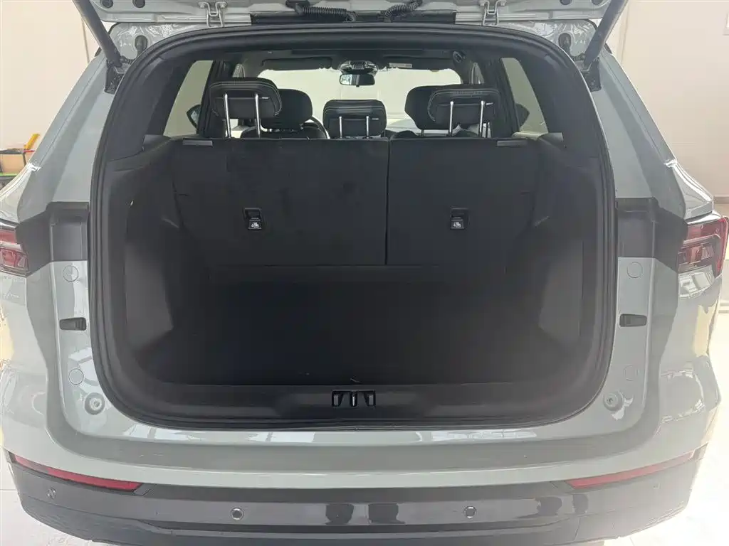 FORD LINGRUI NEW ENERGY