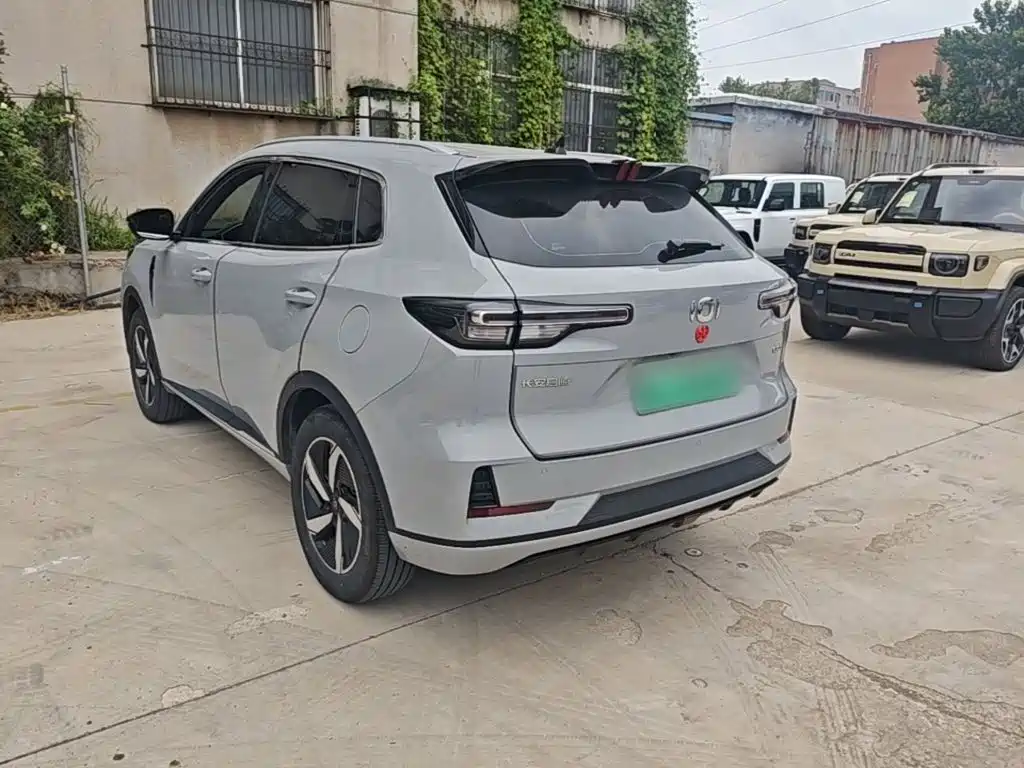 Qiyuan Чанг Ан Кай Q05 классика. — миниатюра 23