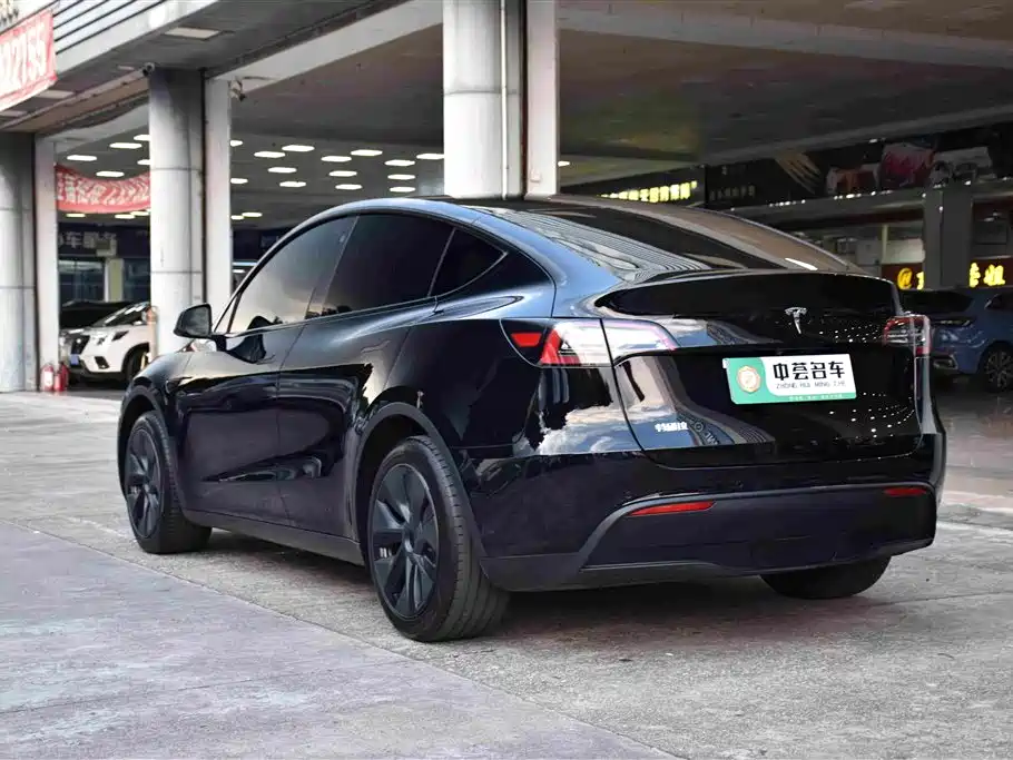 Tesla Model Y — миниатюра 18