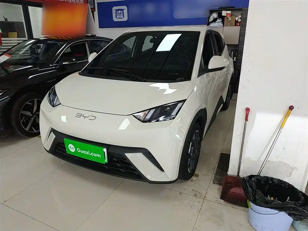 Byd Seagull 2025