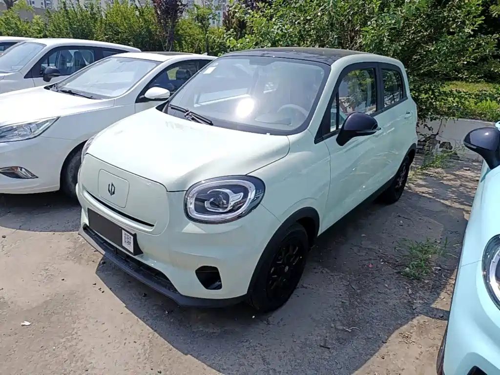 Leapmotor T03 2024 310