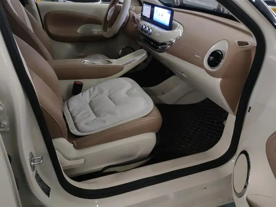 Wuling Binguo 2025 333km Enjoy