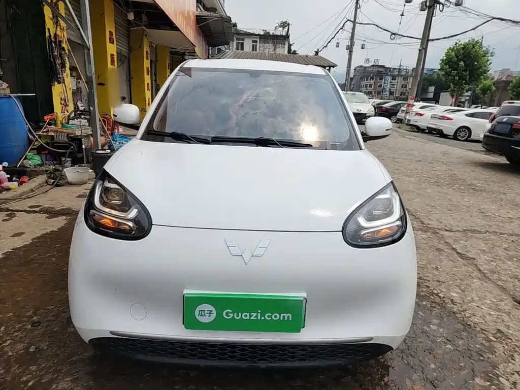 Wuling Binguo 2024 203km