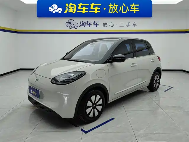 WULING AUTOMOBILE WULING BINGGUO 2024