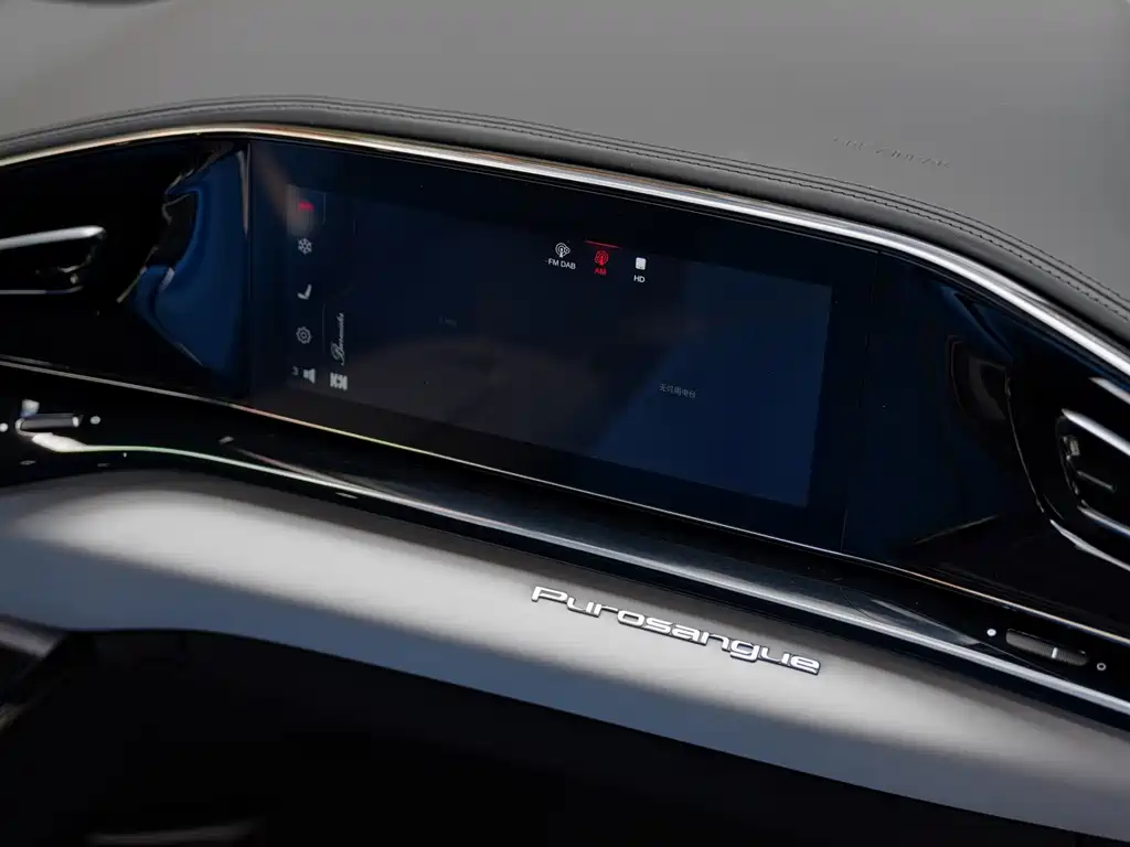 Ferrari Purosangue — миниатюра 24