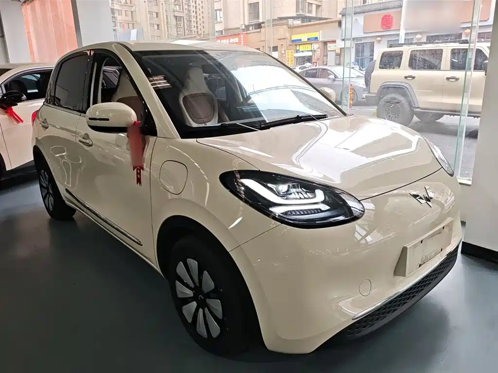 Wuling Binguo 2025 333km Enjoy