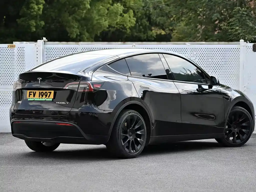 Tesla Model Y — миниатюра 3