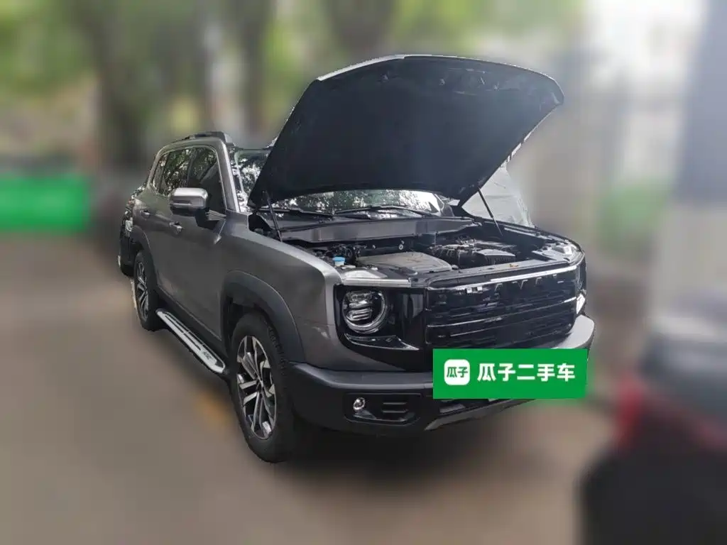 Haval 长城大狗 — миниатюра 3