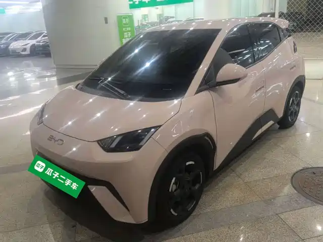 BYD Seagull