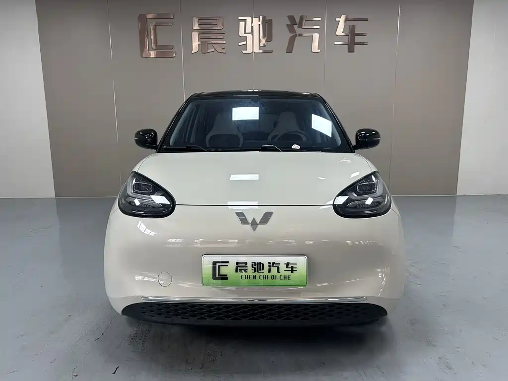 Wuling Binguo 2025 333km