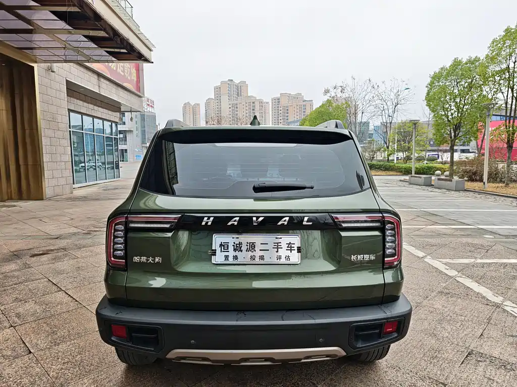 HAVAL BIG DOG