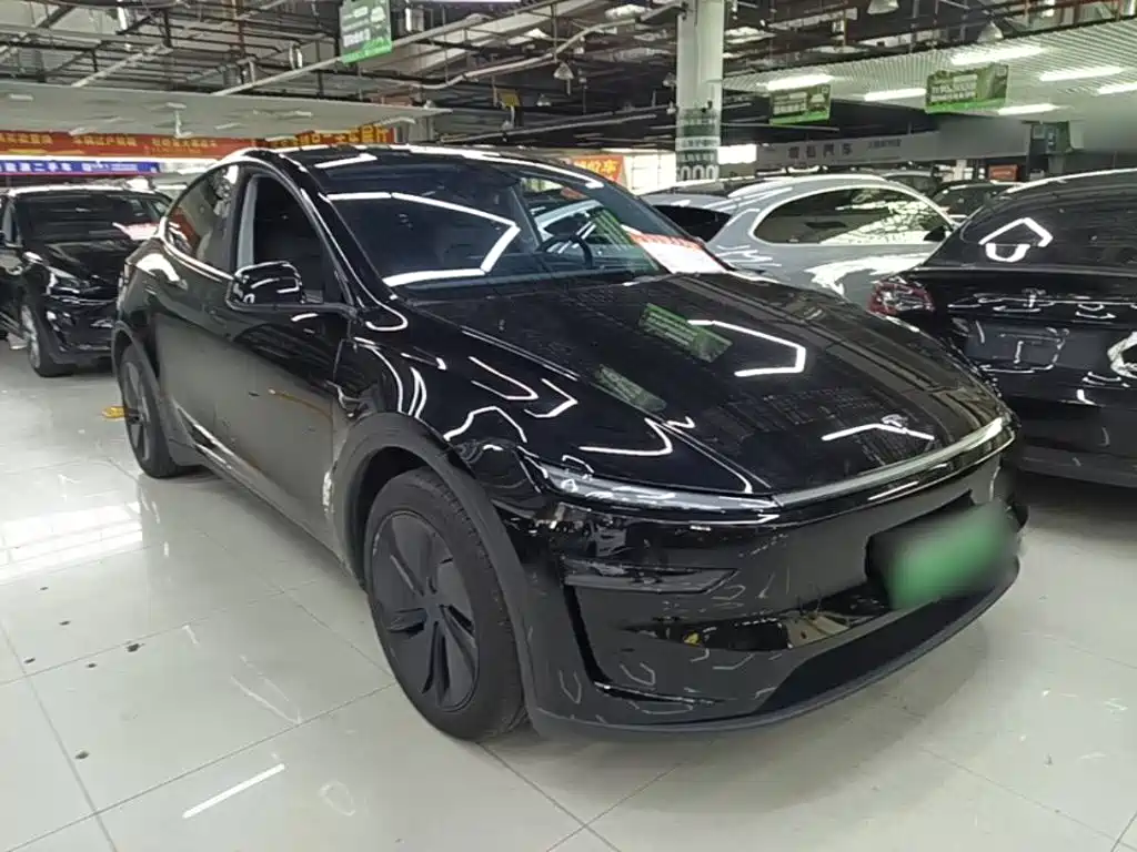 Tesla Model Y — миниатюра 4