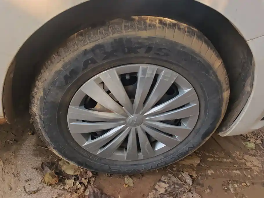 Volkswagen Santana — миниатюра 6