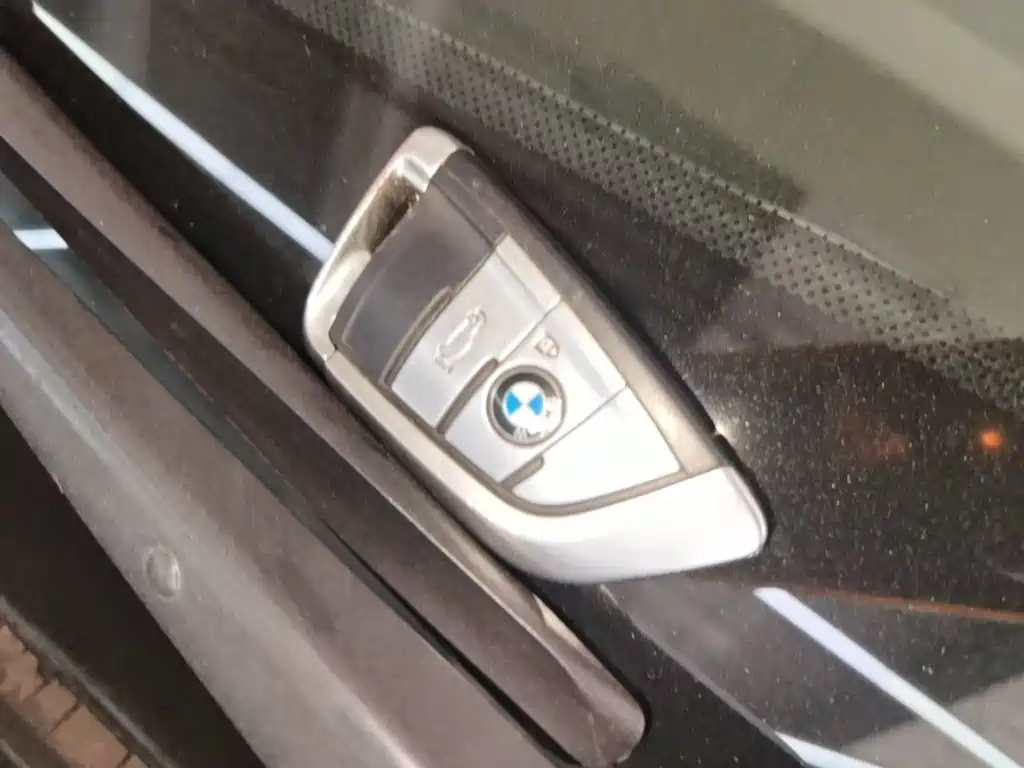 BMW X5 (Import) — миниатюра 9