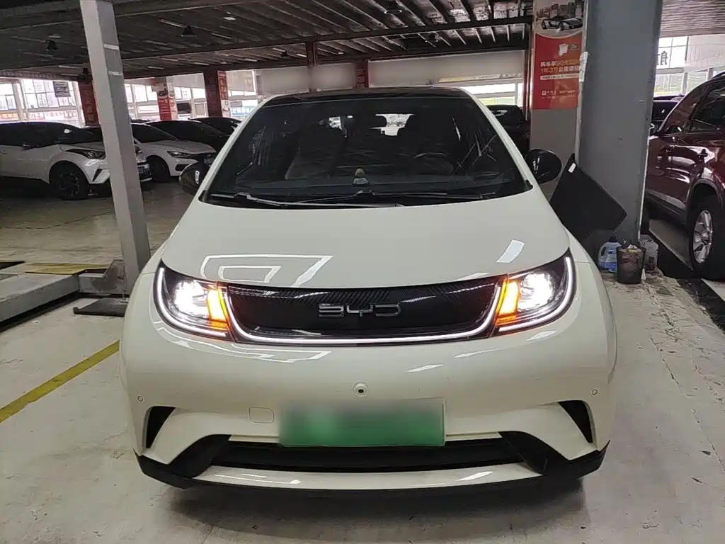 BYD Dolphin — миниатюра 3