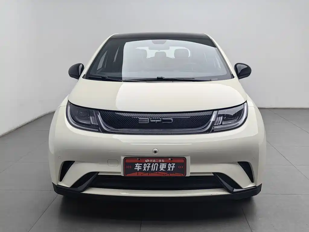 BYD Dolphin — миниатюра 3