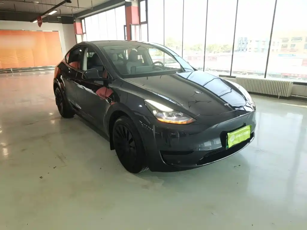 Tesla Model Y — миниатюра 4