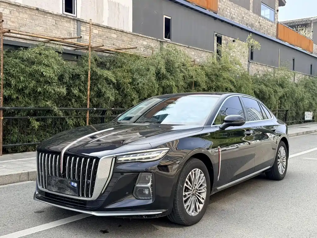 Hongqi Hongqi H5 2024