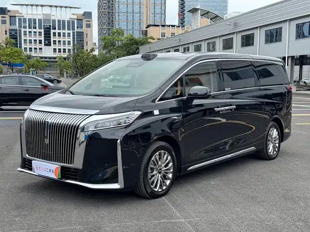 2025 Wey Gaoshan