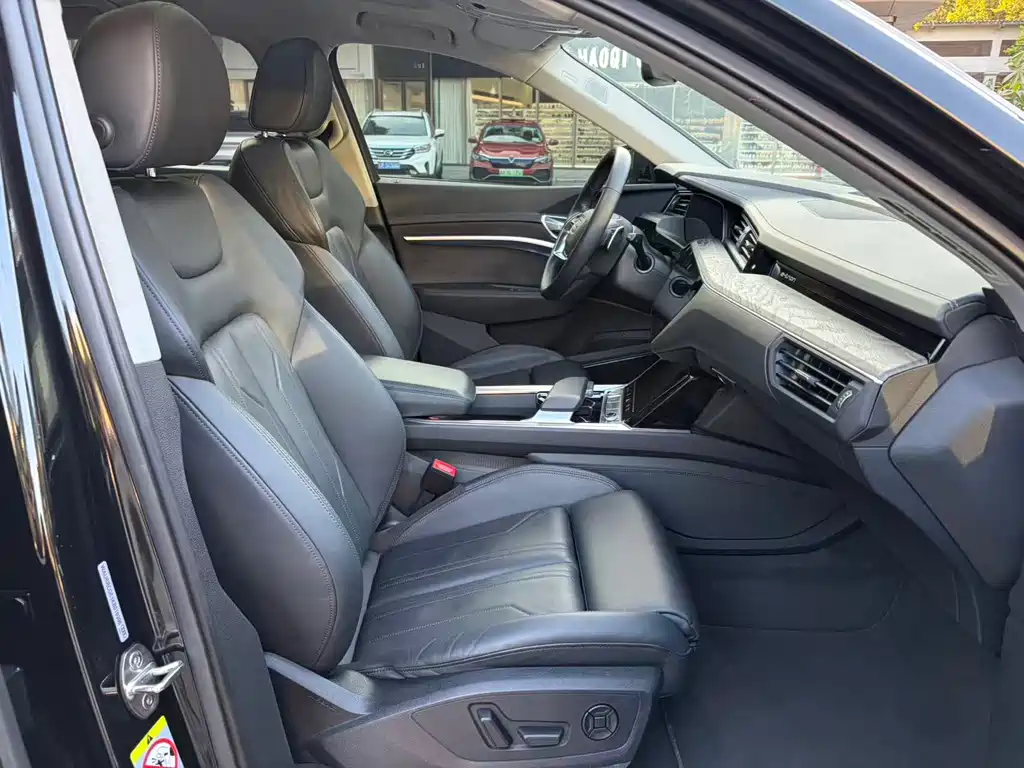 Audi e-tron (Import) — миниатюра 16