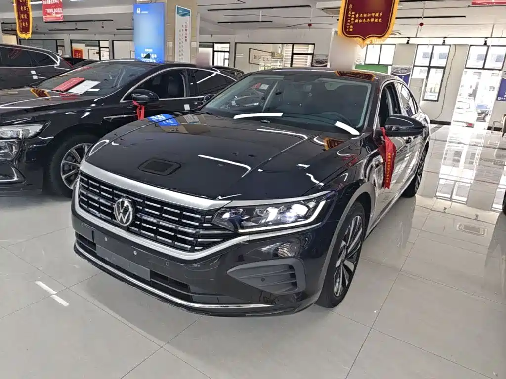 Volkswagen Passat — миниатюра 2