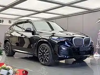 BMW X5 — миниатюра 3