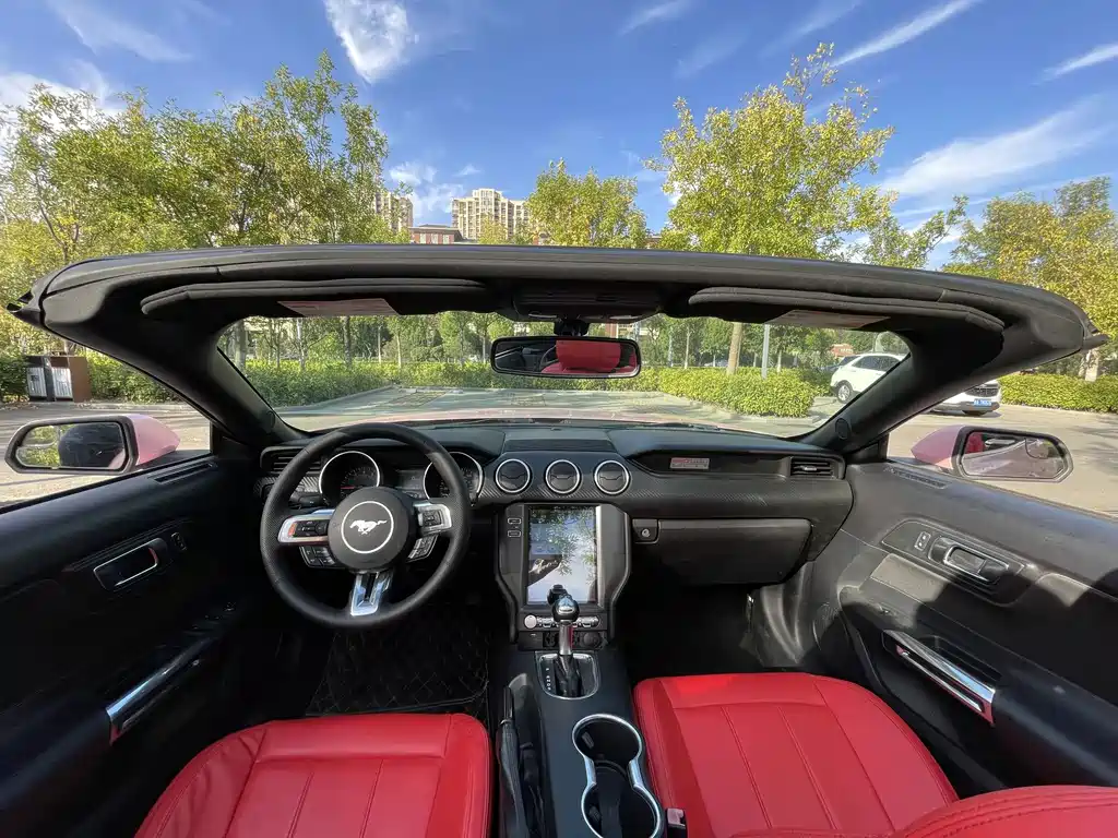 Ford Mustang — миниатюра 4