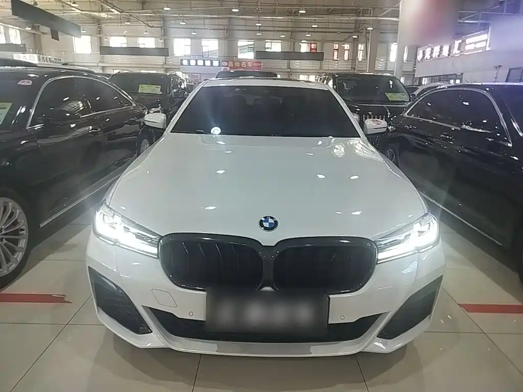 BMW 5 Series New Energy — миниатюра 3