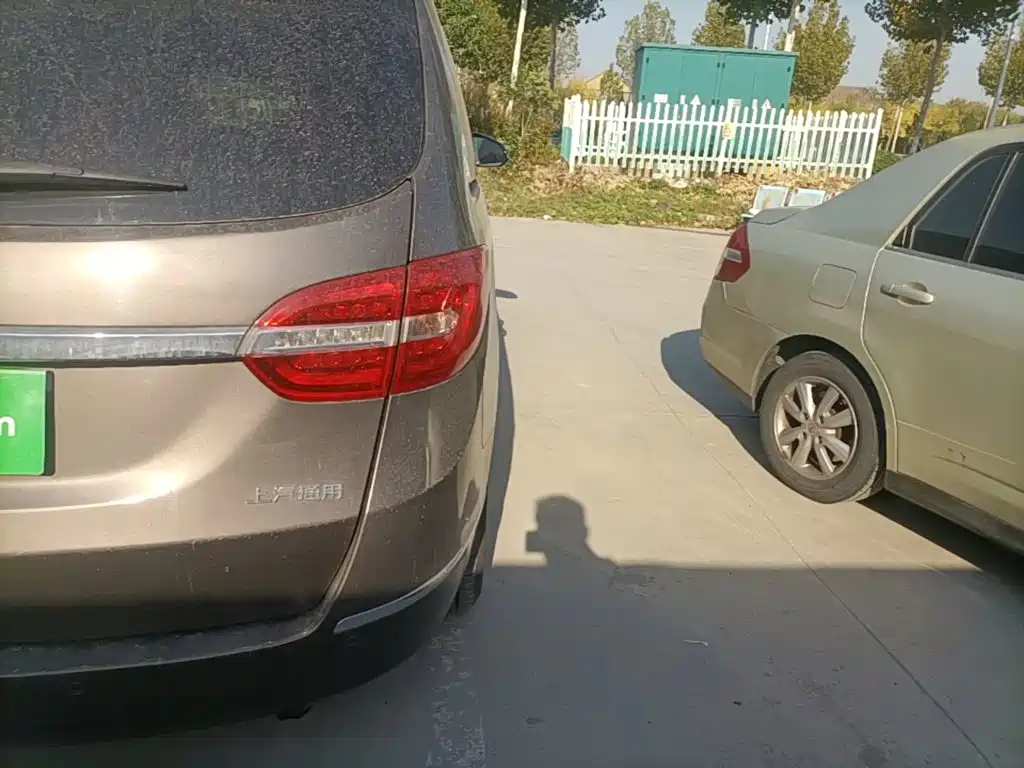 Buick GL8 — миниатюра 8