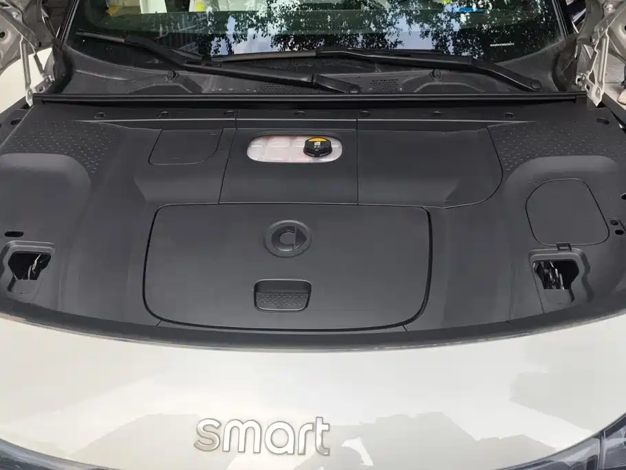 smart Smart #1 — миниатюра 10
