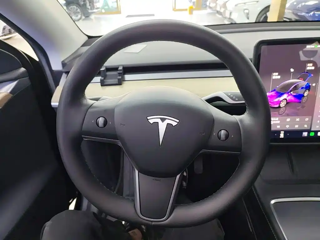 Tesla Model Y — миниатюра 11
