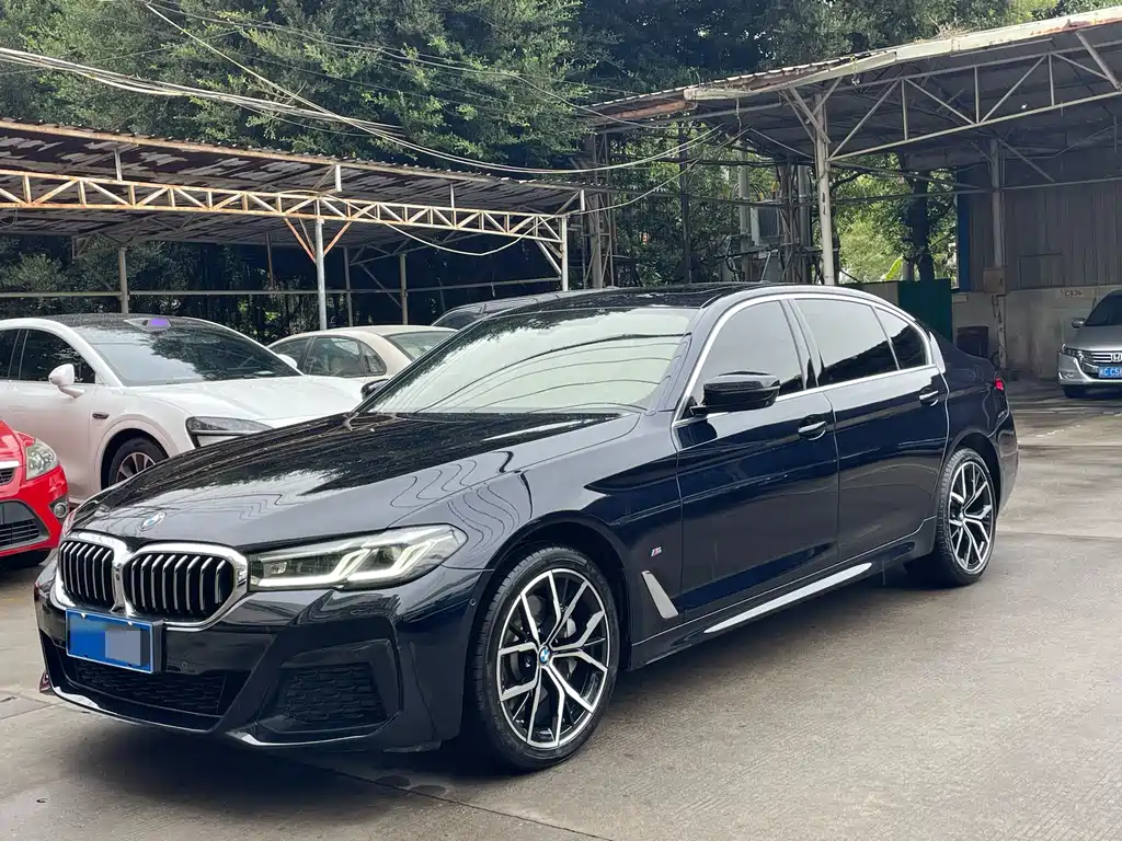 BMW 5 SERIES