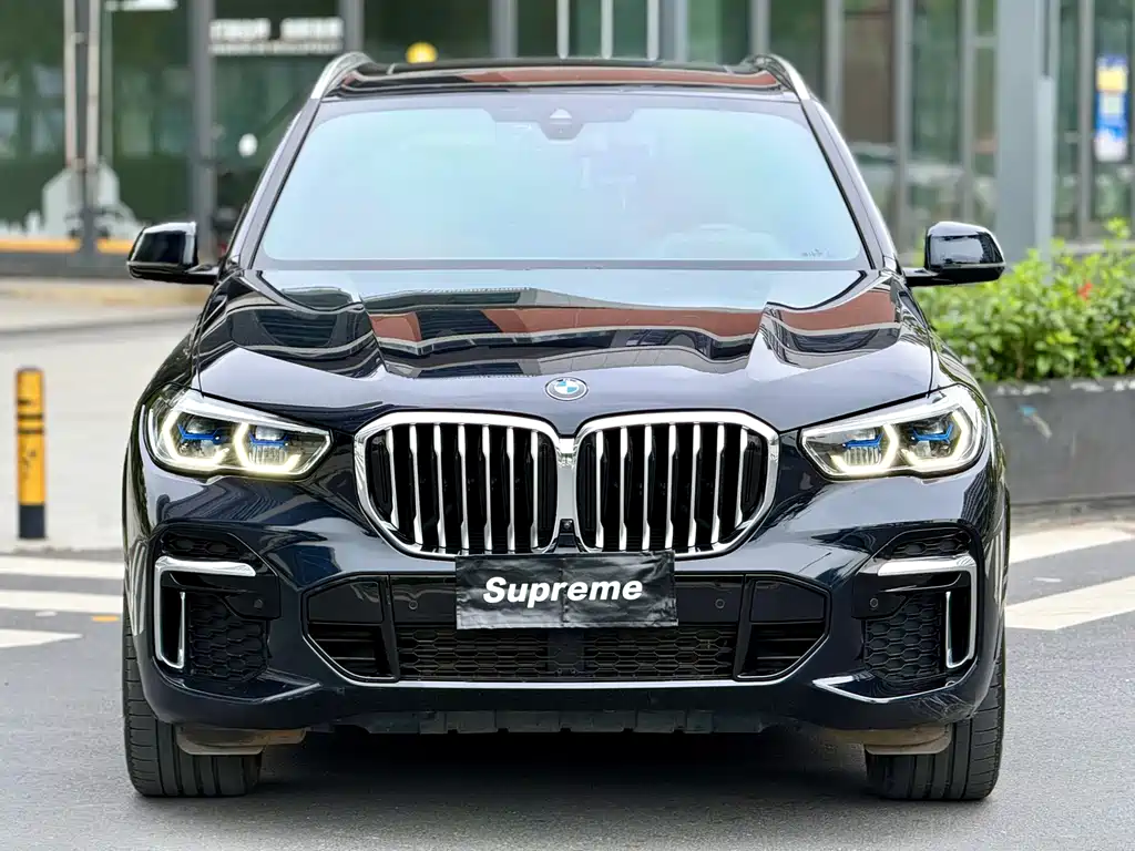 BMW X5 — миниатюра 2