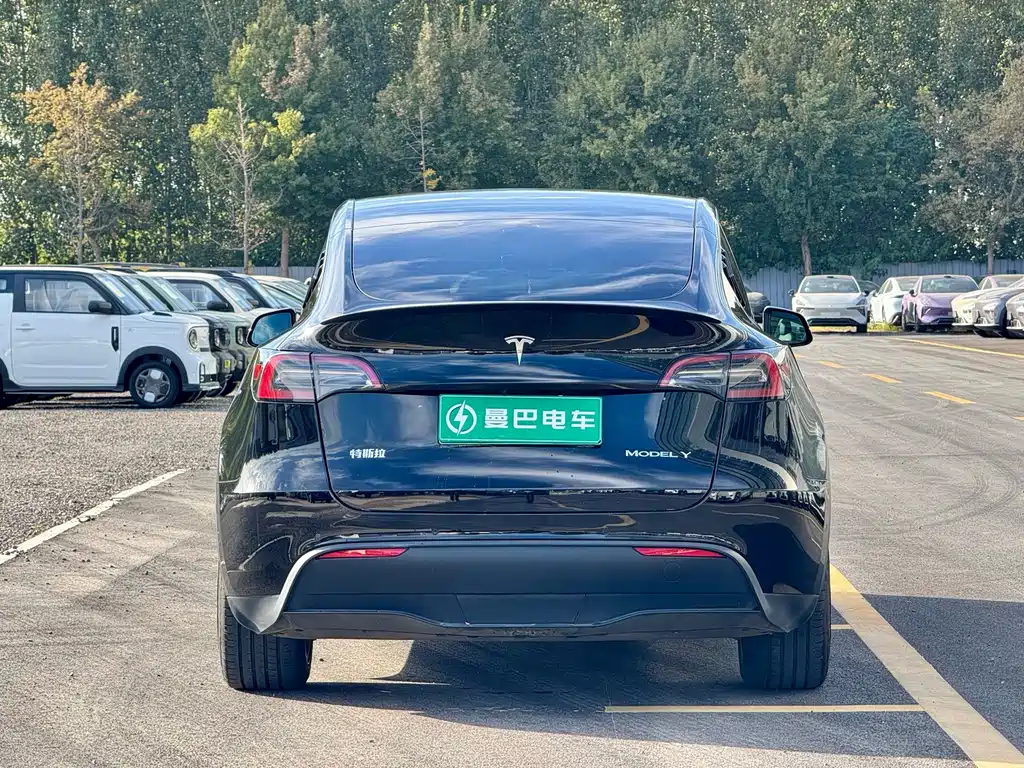 Tesla Model Y — миниатюра 7