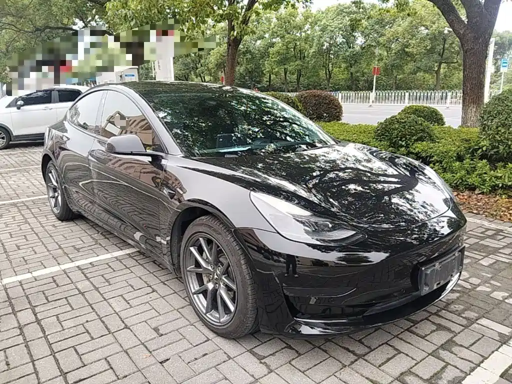 Tesla Model 3 — миниатюра 4