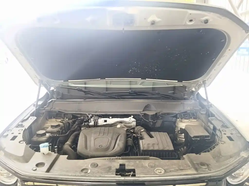 Haval Big Dog PLUS New Energy — миниатюра 20