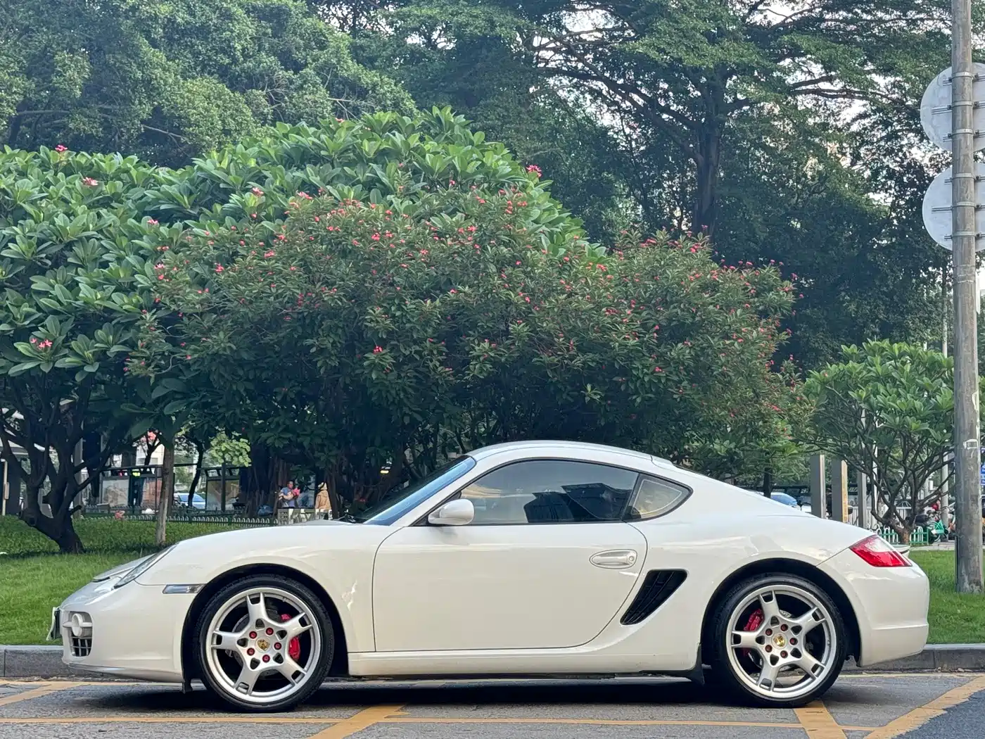 Porsche Cayman