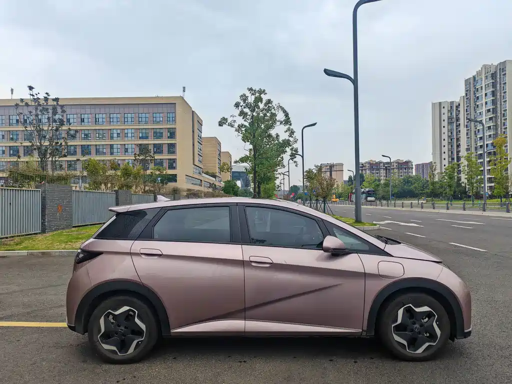 BYD Dolphin — миниатюра 20