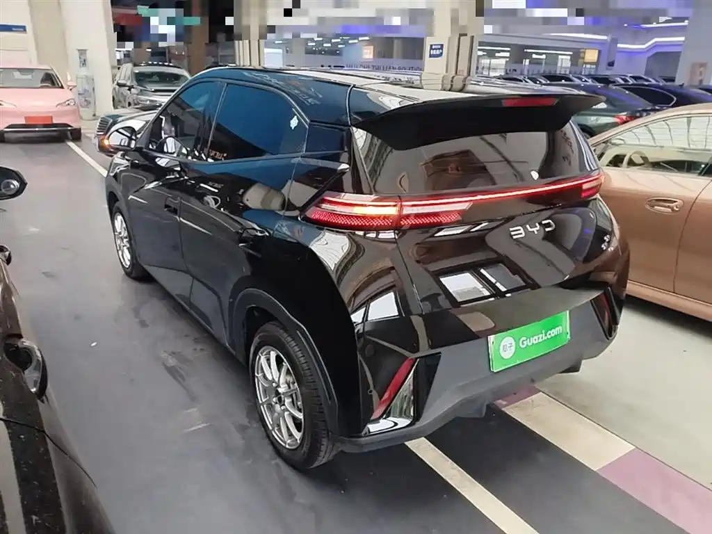 BYD Seagull 2024 305km