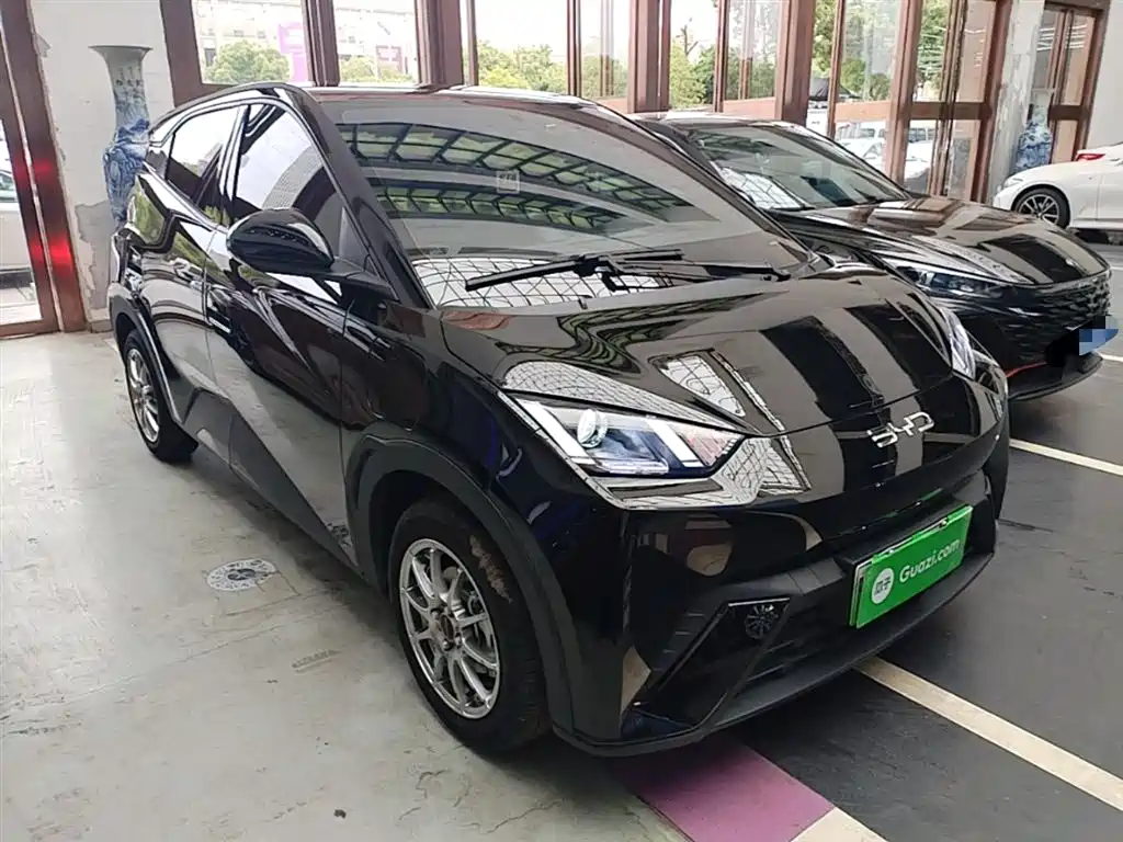 BYD Seagull 2024 305km
