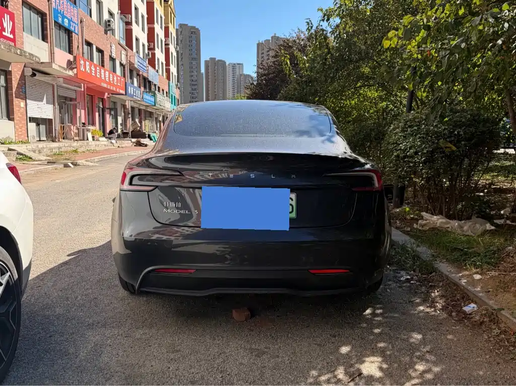 Tesla Model 3 — миниатюра 16
