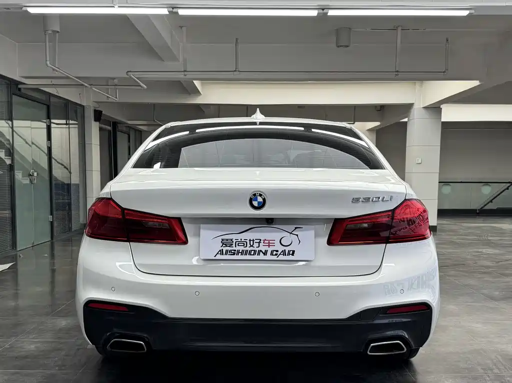 BMW 5 Series 5 2020 530Li Premium M Sport