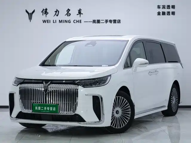 2024 Voyah Dream