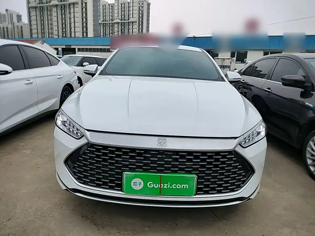BYD Qin Plus PLUS 2024 DM-i 55KM Lead