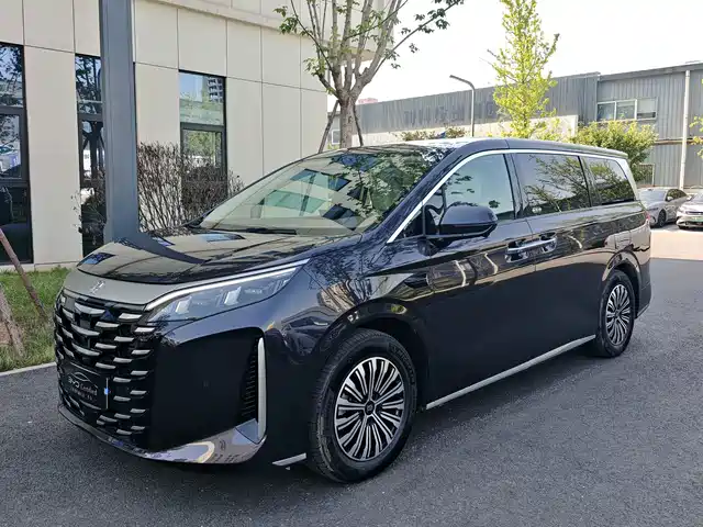 2025 BYD
