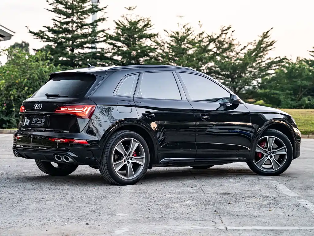 Audi SQ5 — миниатюра 3